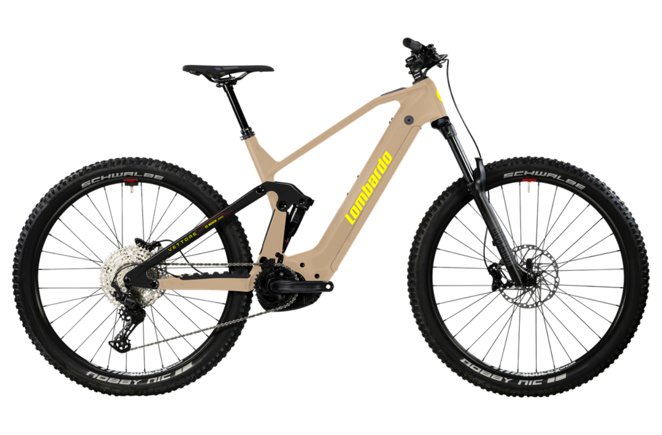 VETTORE 29'' (2025)