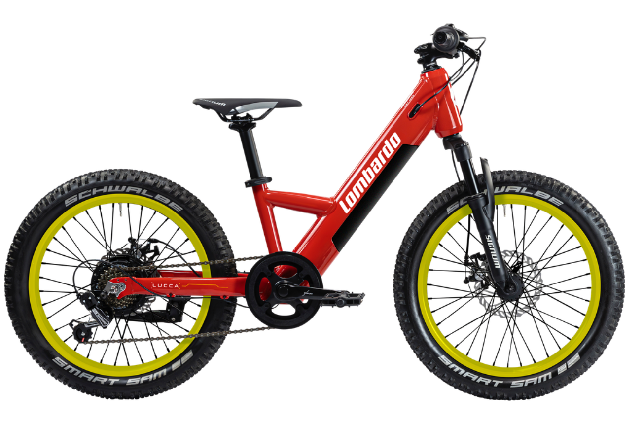 LUCCA 20" (2025)