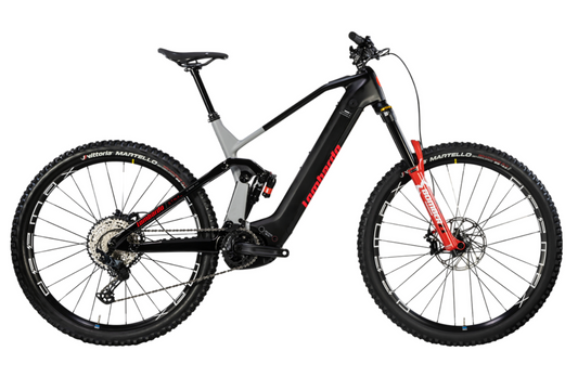 ETNA PRO 29'' (2025)