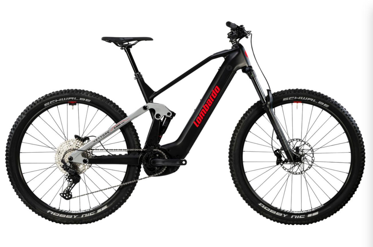 VETTORE 29'' (2025)