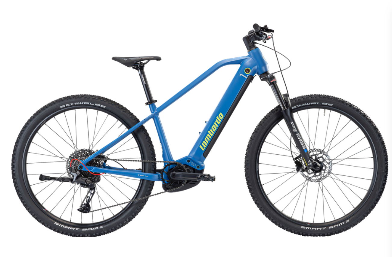 CHAMONIX 1.0 29'' (2025)
