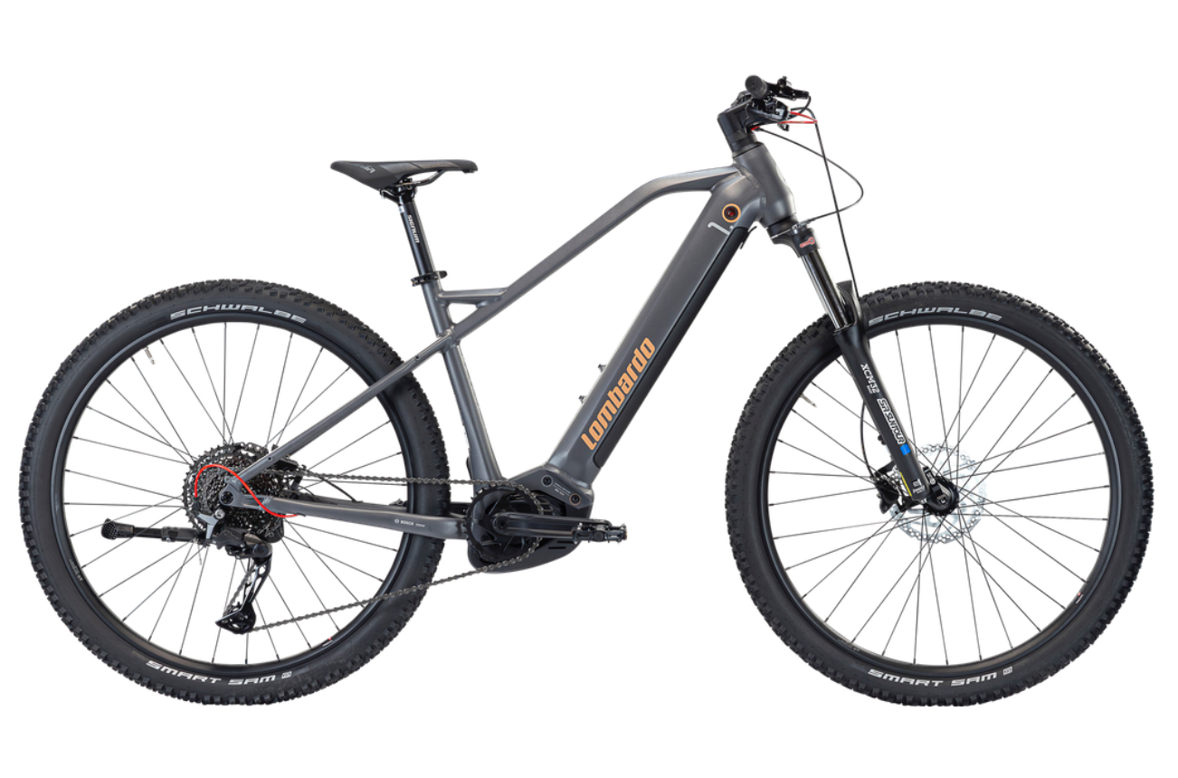CHAMONIX 1.0 29'' (2025)