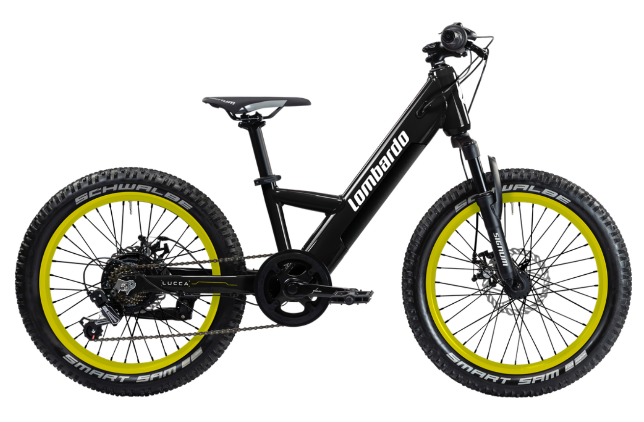 LUCCA 20" (2025)