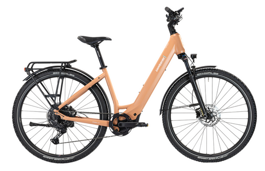 BASSANO AGEVOLE 29" (2025)