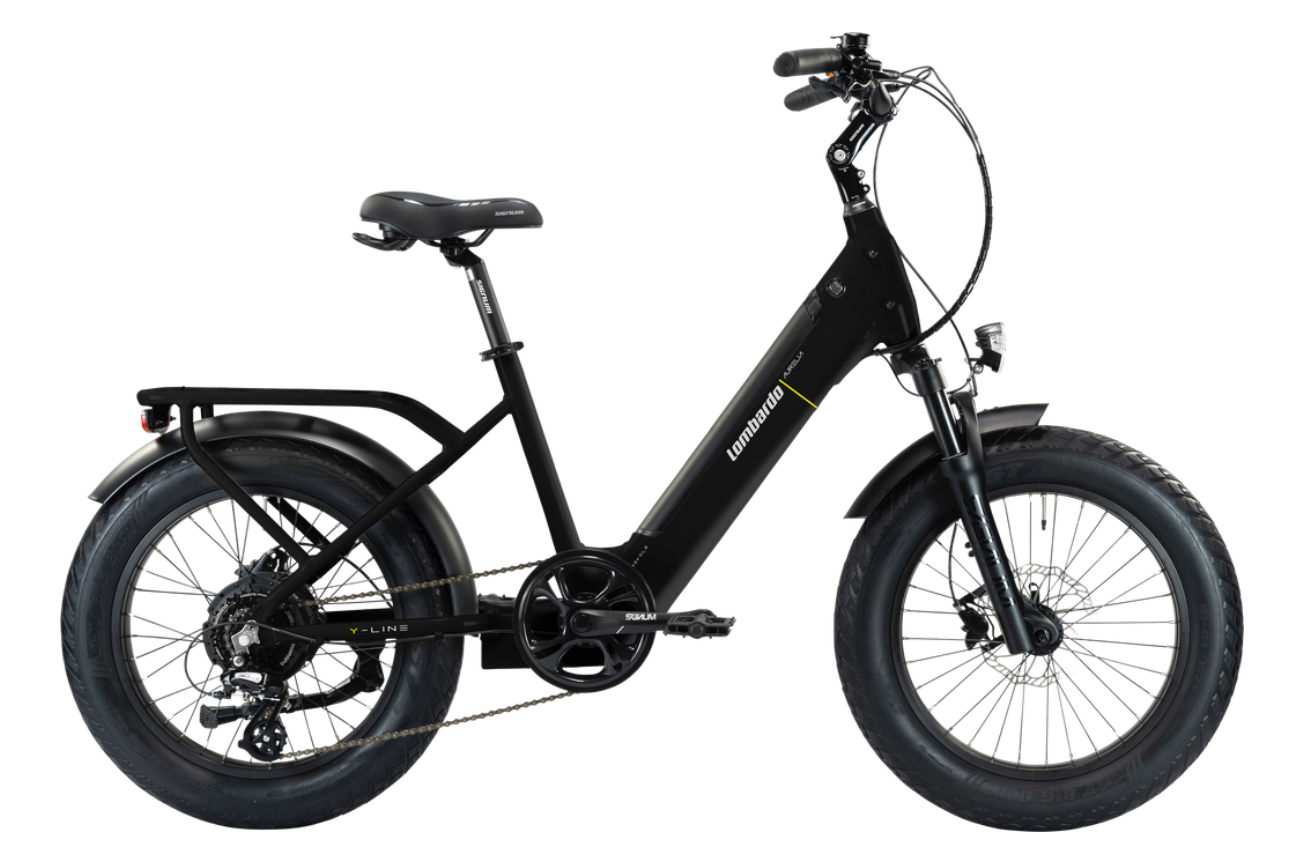 AURELIA AGEVOLE 20" (2025)