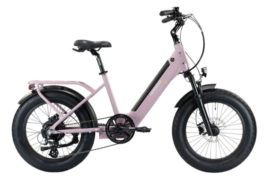 AURELIA AGEVOLE 20" (2025)